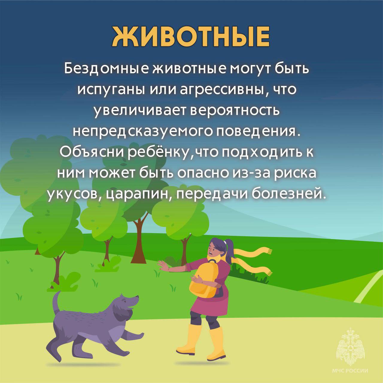 к4.jpg